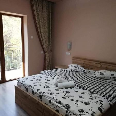 Pensiune Marginimea Sibiului Orlat Buitenkant foto