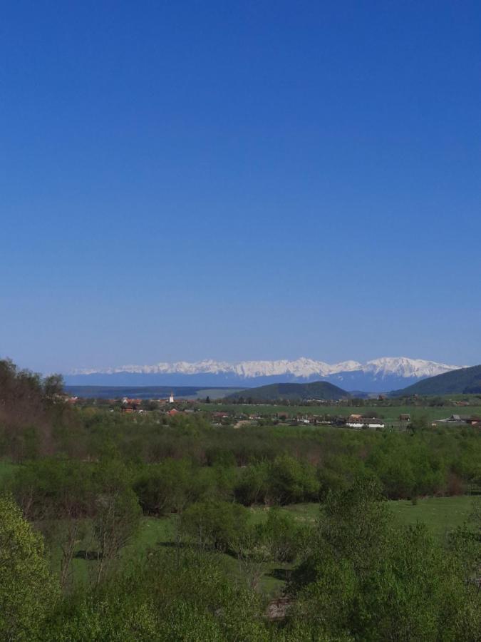 Pensiune Marginimea Sibiului Orlat Buitenkant foto