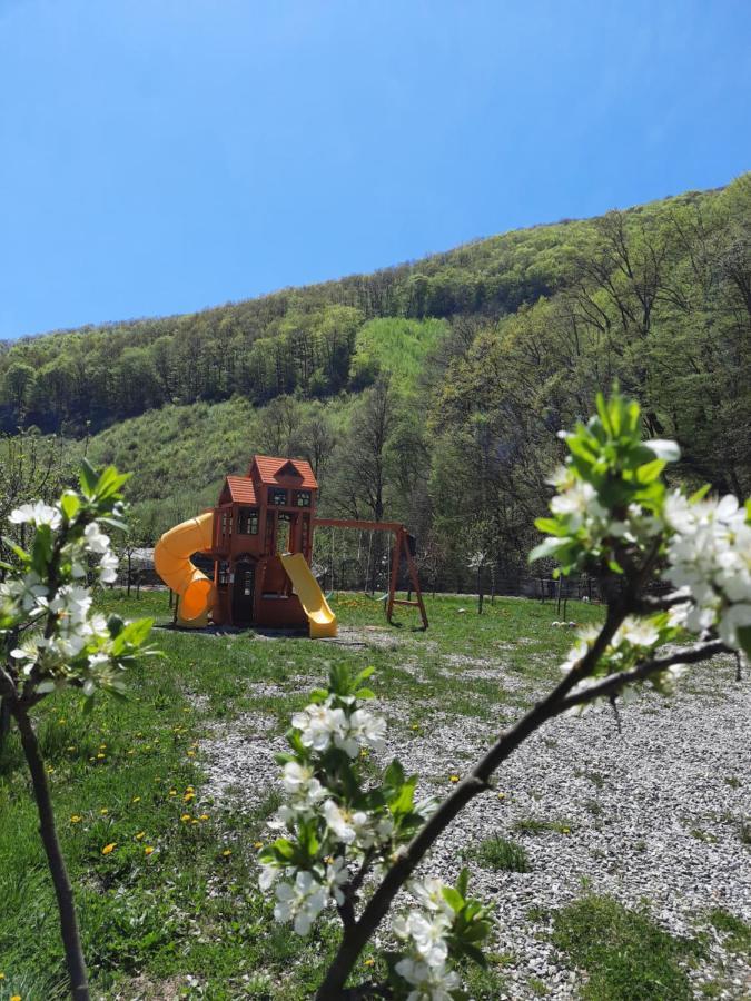 Pensiune Marginimea Sibiului Orlat Buitenkant foto