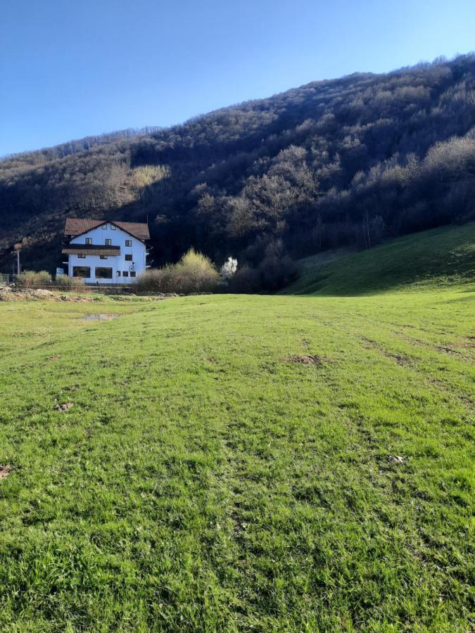 Pensiune Marginimea Sibiului Orlat Buitenkant foto
