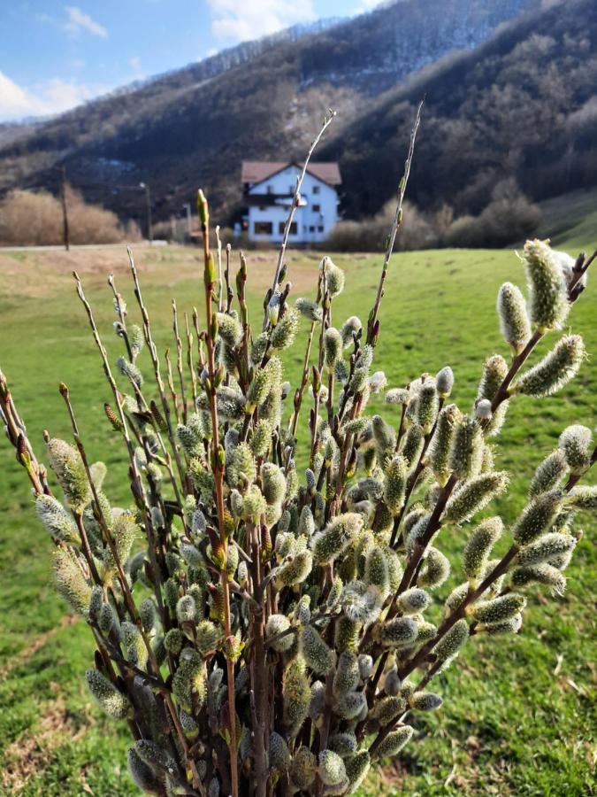 Pensiune Marginimea Sibiului Orlat Buitenkant foto