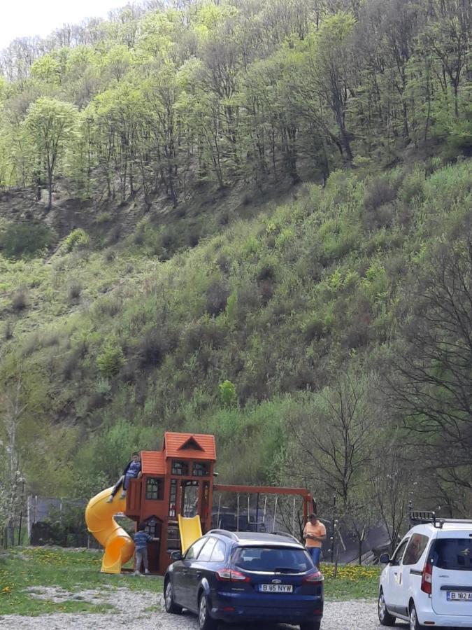 Pensiune Marginimea Sibiului Orlat Buitenkant foto