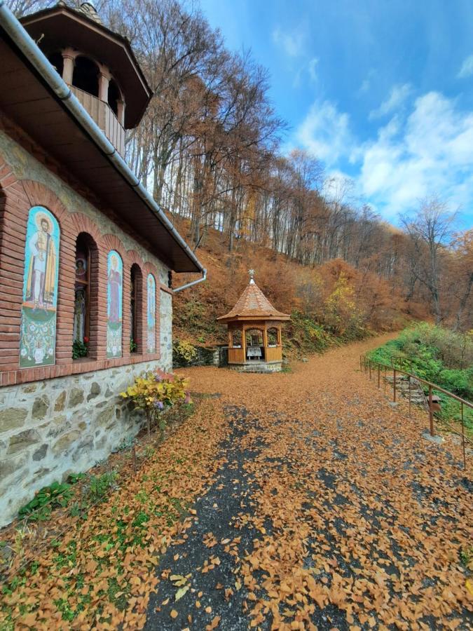 Pensiune Marginimea Sibiului Orlat Buitenkant foto