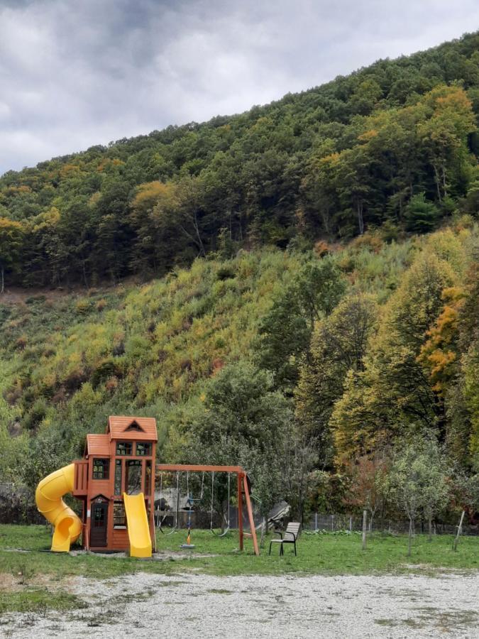 Pensiune Marginimea Sibiului Orlat Buitenkant foto