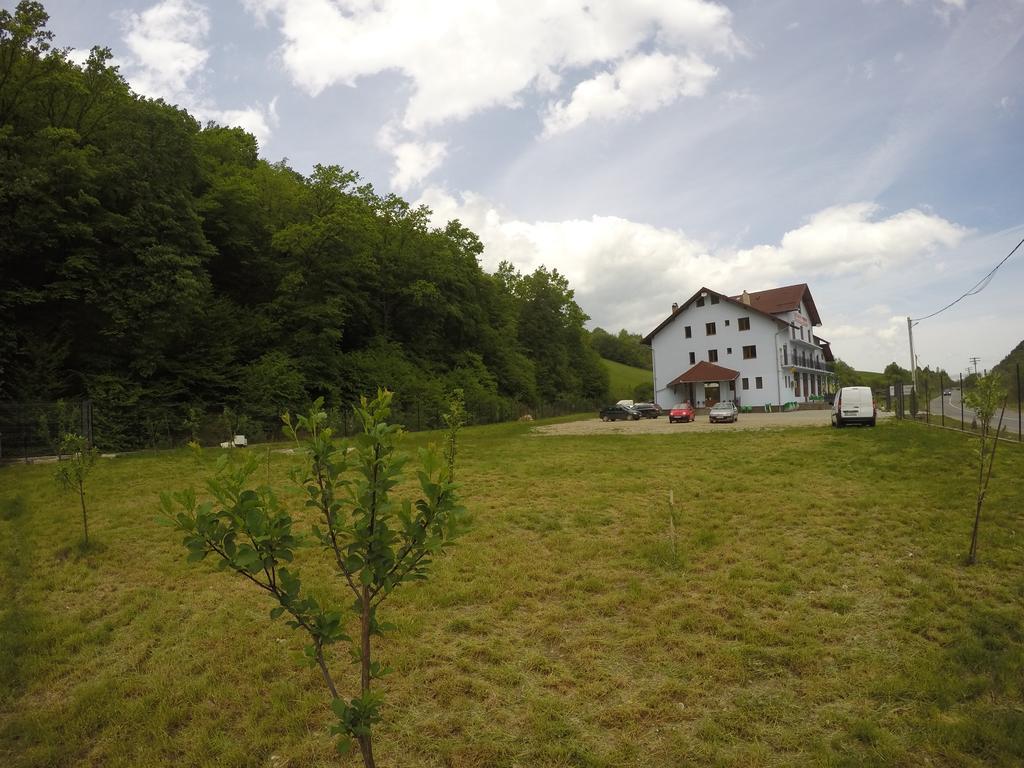 Pensiune Marginimea Sibiului Orlat Buitenkant foto