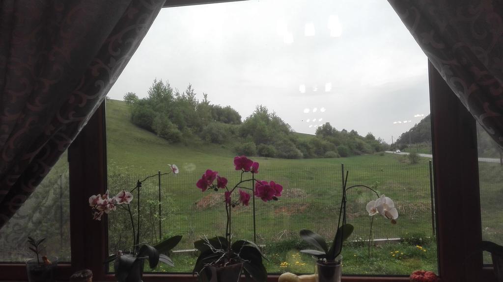Pensiune Marginimea Sibiului Orlat Buitenkant foto