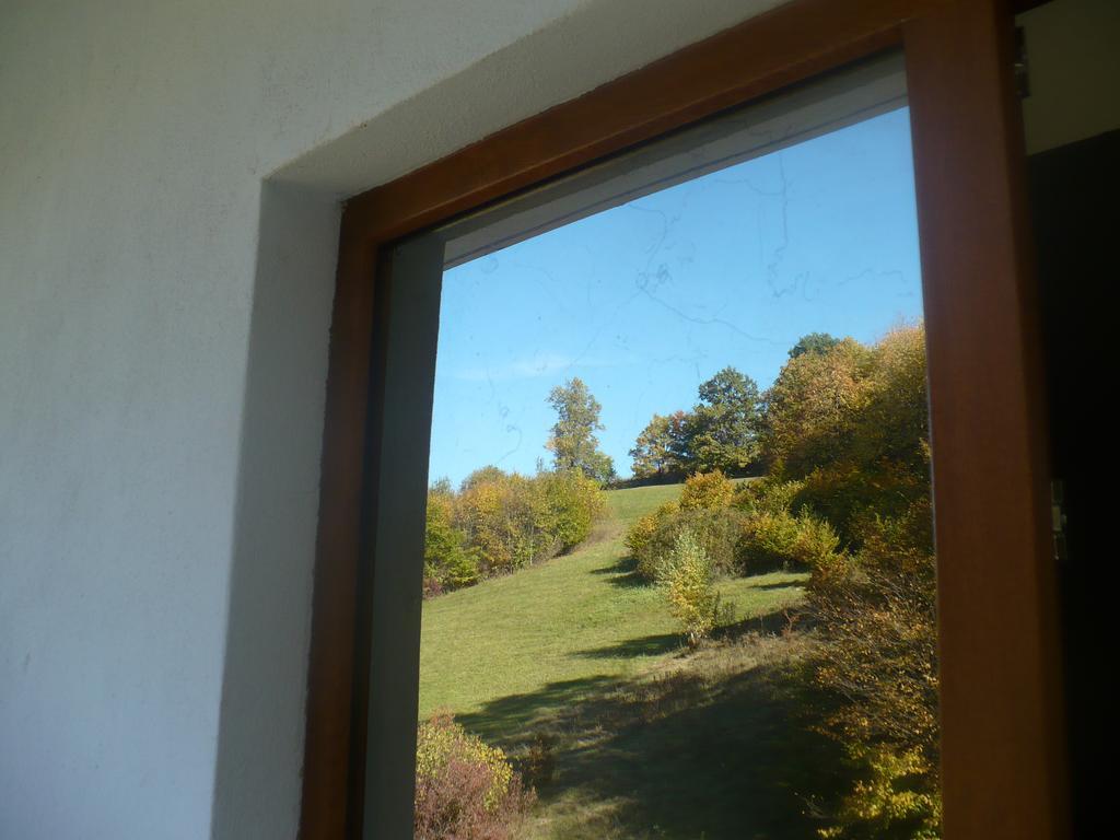 Pensiune Marginimea Sibiului Orlat Buitenkant foto