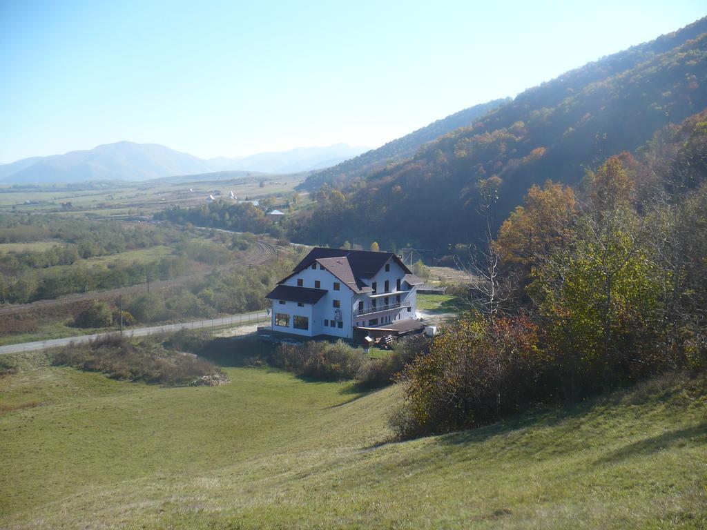 Pensiune Marginimea Sibiului Orlat Buitenkant foto