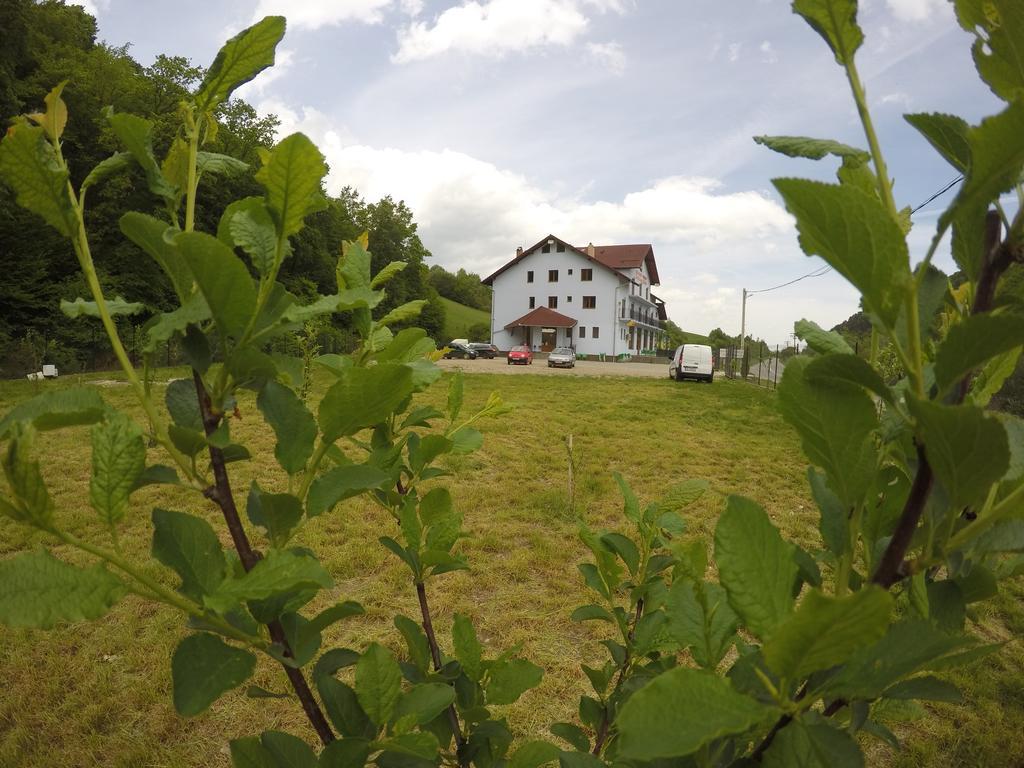 Pensiune Marginimea Sibiului Orlat Buitenkant foto