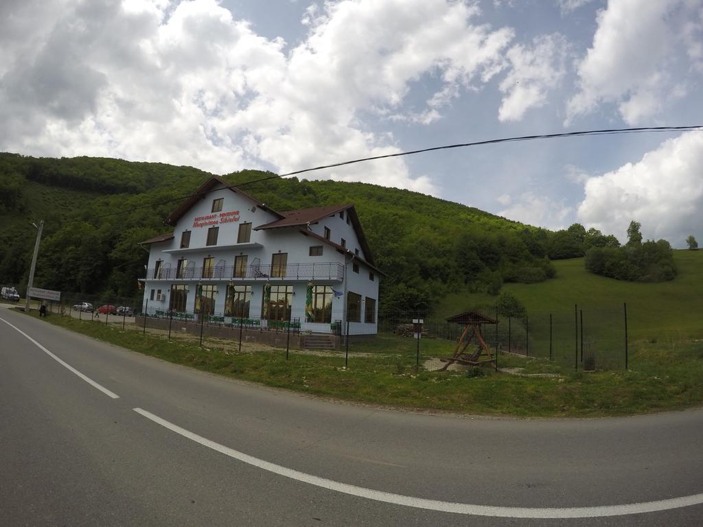 Pensiune Marginimea Sibiului Orlat Buitenkant foto