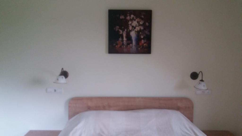 Pensiune Marginimea Sibiului Orlat Buitenkant foto