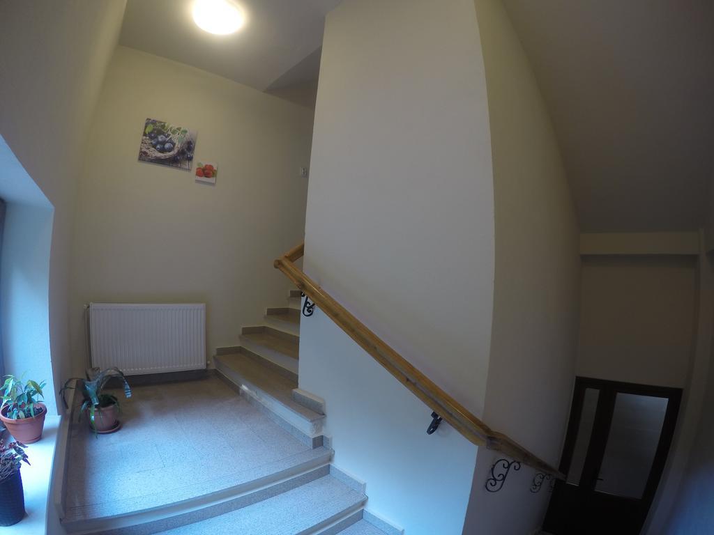 Pensiune Marginimea Sibiului Orlat Buitenkant foto