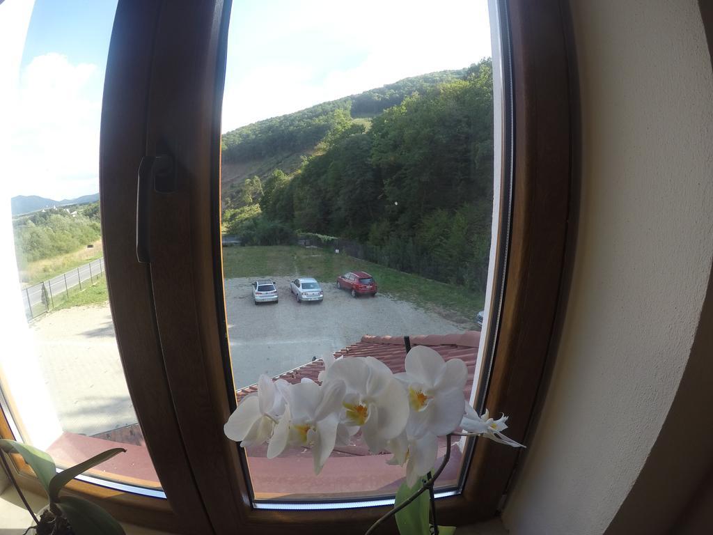 Pensiune Marginimea Sibiului Orlat Buitenkant foto