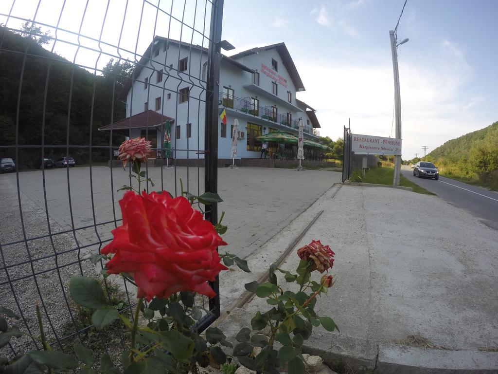 Pensiune Marginimea Sibiului Orlat Buitenkant foto