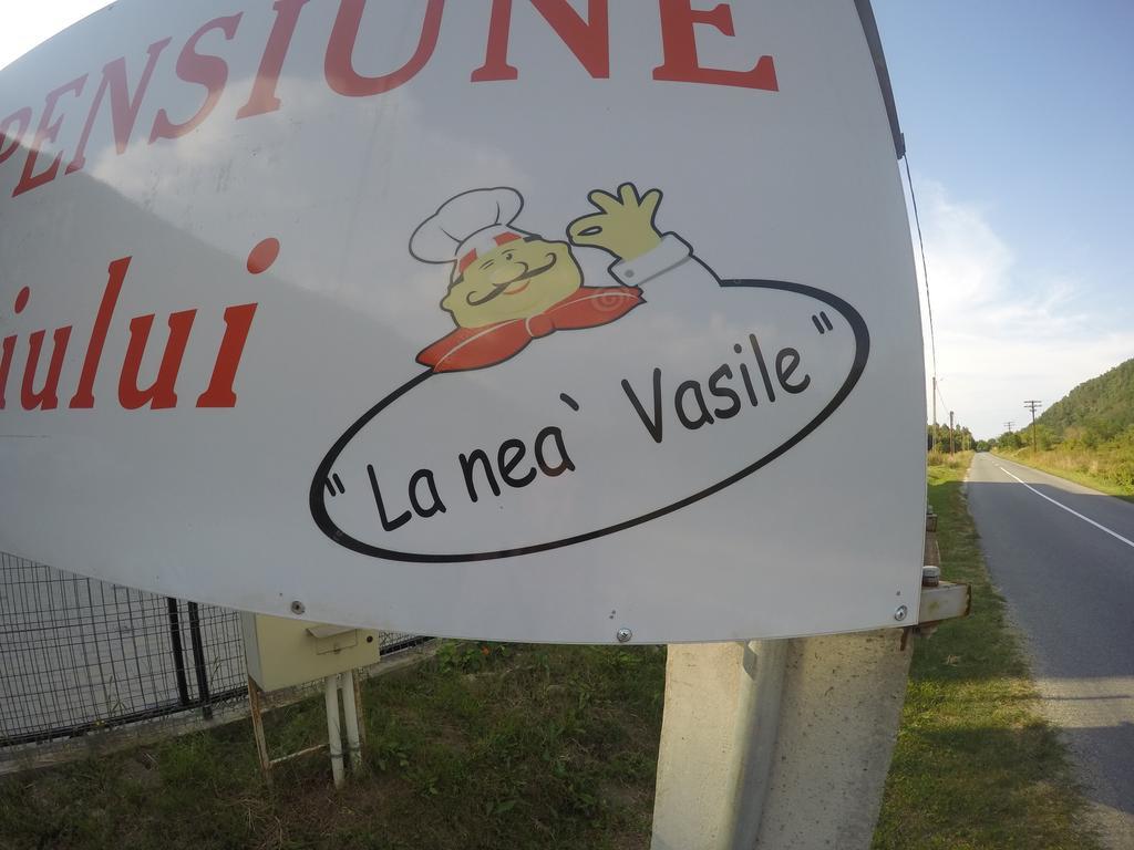 Pensiune Marginimea Sibiului Orlat Buitenkant foto