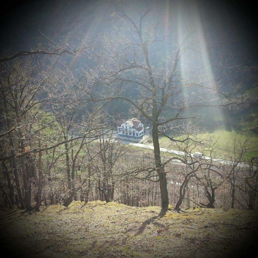 Pensiune Marginimea Sibiului Orlat Buitenkant foto